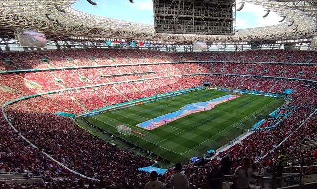 这并不意味 这并不意味