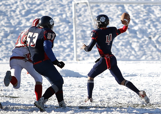 势显而易见 势显而易见